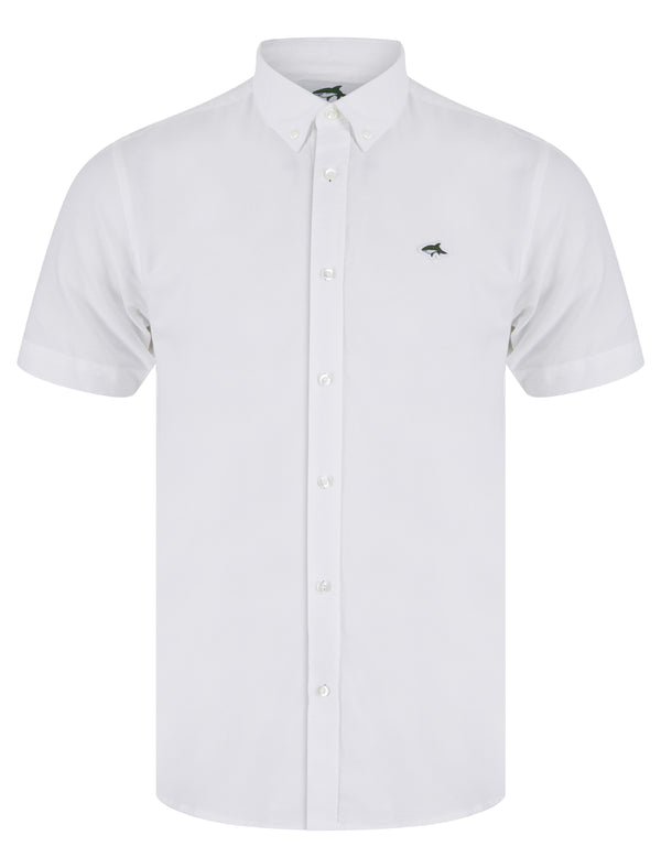 Bardiya Cotton Oxford Shirt